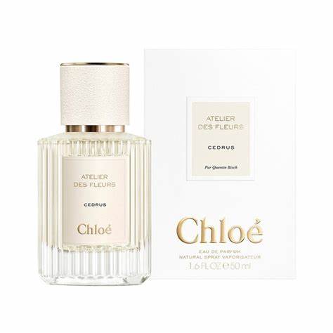 寇依 北国雪松 -2.jpg